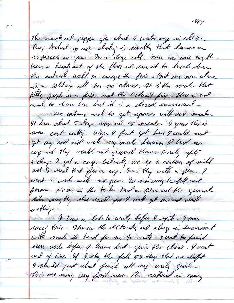 Dr John WorldPeace 2008 Prison Journal